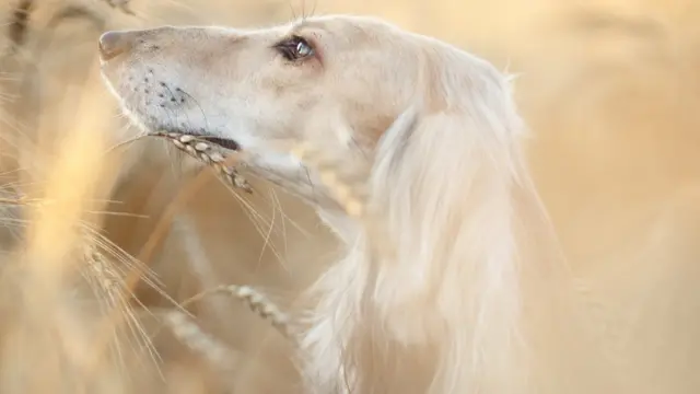 Порно компиляция қыздар камминг