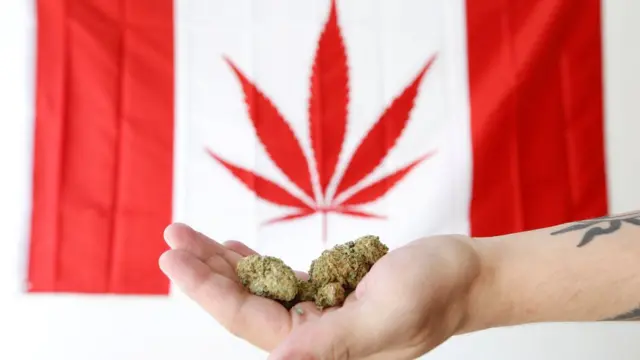 ماریجوآنا از سال ۱۹۲۳ در کانادا به فهرست مواد غیرقانونی اضافه شده بود