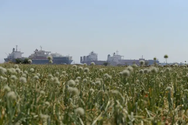 અલંગ શિપબ્રેકિંગ યાર્ડ