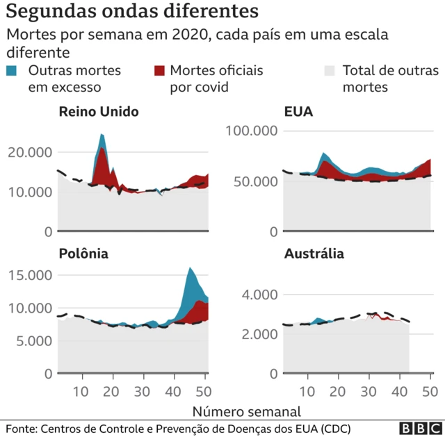 infográfico