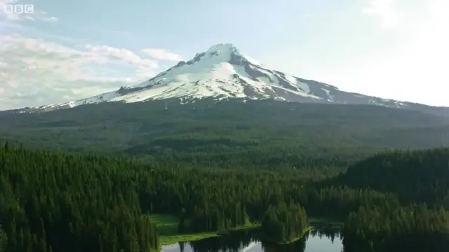 పర్యాటకం, పాస్‌పోర్టు, పౌరసత్వం