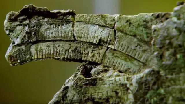 Dans un premier temps, l'artefact n'a rien dit aux scientifiques, puis ils ont remarqué qu'il portait des marques et des inscriptions.