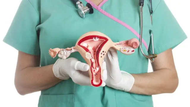 Aparato reproductivo femenino