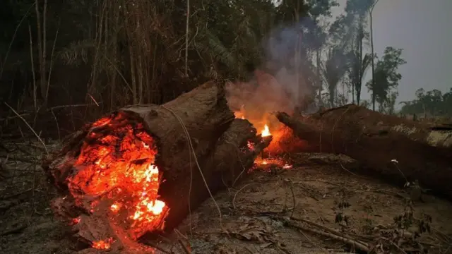 Incendio en la Amazonía.