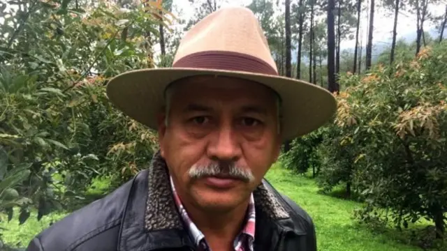 Чема Флорес розбагатів на вирощуванні й продажі авокадо