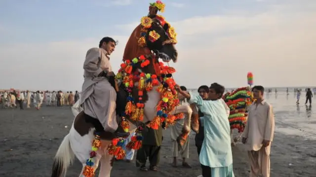 ઘોડીને નચાવી રહેલા યુવકો