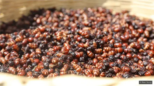 எறும்பு