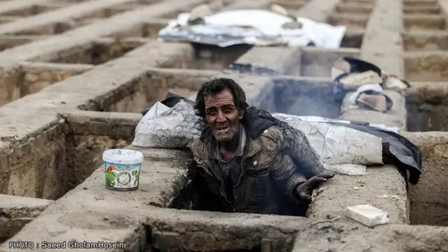 گورخواب‌ها