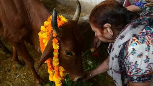 گائے کی پوجا