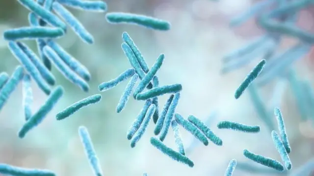 Un quart de la population mondiale est infecté par des mycobactéries, mais dans la plupart des cas, elles restent "dormantes" et ne provoquent pas la tuberculose.