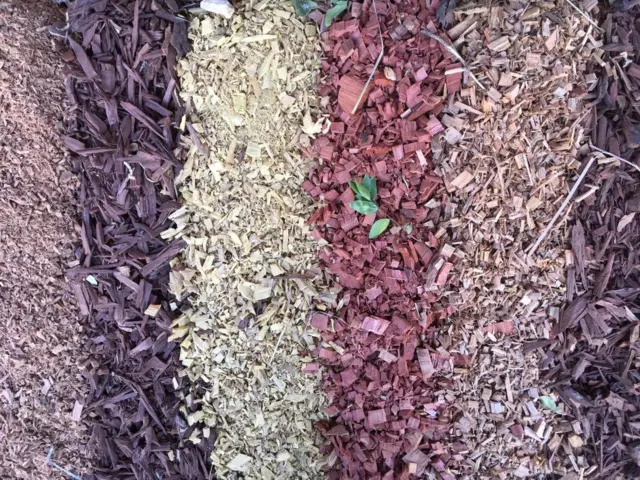 የደሴ ጢሳጢስ በየፈርጁ