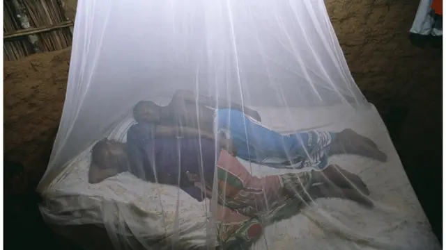 Una pareja durmiendo dentro de un mosquitero