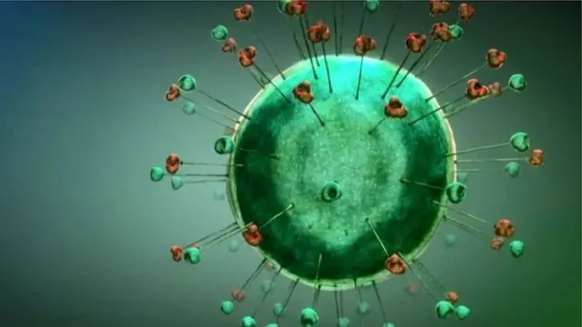 ఆరు నెలల్లో కరోనా ఔషధం