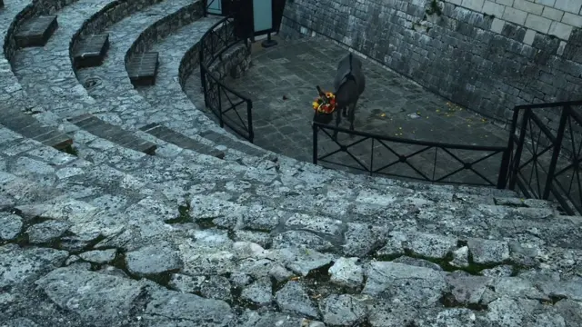 "Я знал, что такое для меня в моей жизни амфитеатр, и поэтому точно знал, что осел должен быть в амфитеатре".