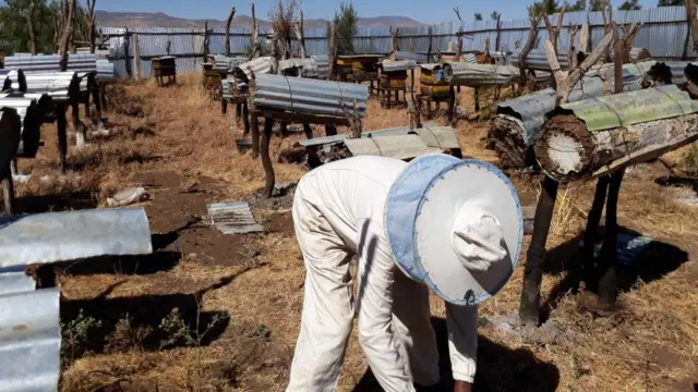 Dharka noocan ah ayuu xirtaa marka uu ka shaqeynayo meesha uu ku xannaaneeyo