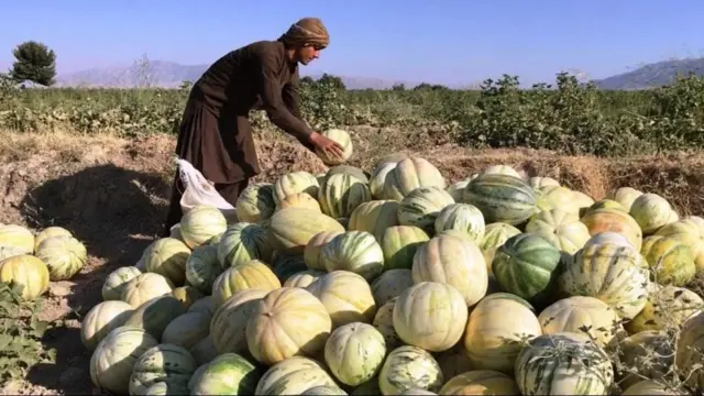 خټکي