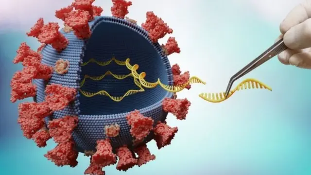 कोरोना, आरोग्य, भारत