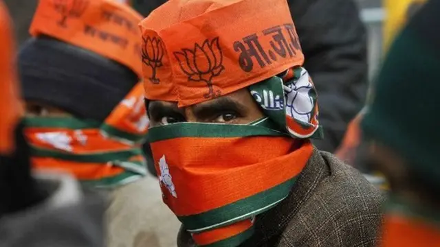 भाजपा समर्थक