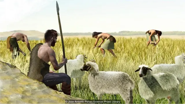 insanın tarıma başlaması