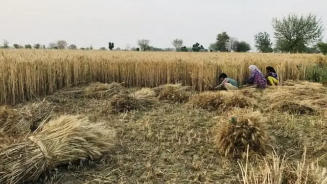 राजेंद्री देवी