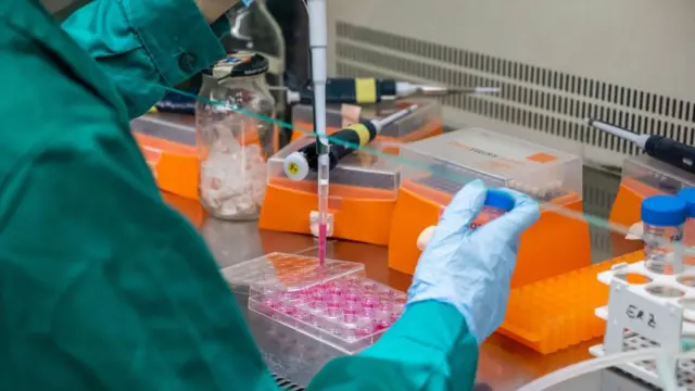 expérience en laboratoire