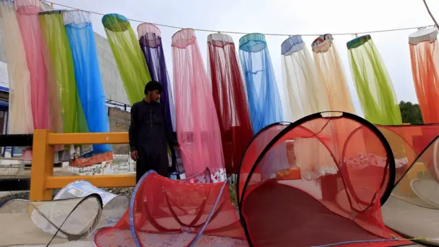 پشاور ڈینگی