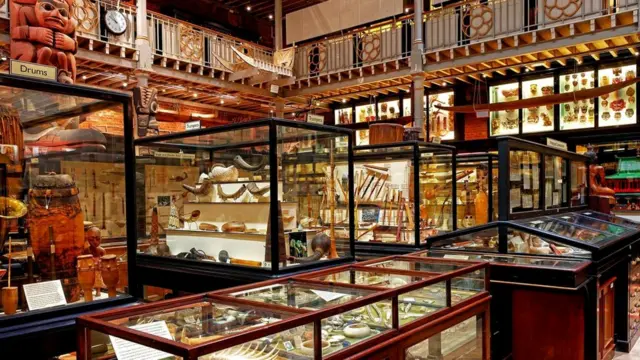 Всего в коллекции диковин со всего мира насчитывается около 500 тысяч предметов