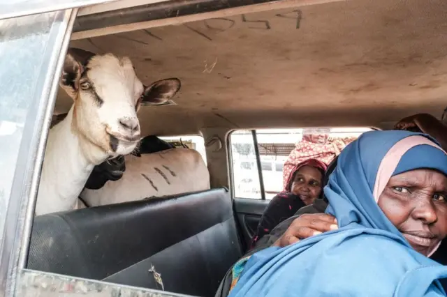 Women sit next to goats inside a car during a livestock market in the city of Hargeisa, Somaliland.