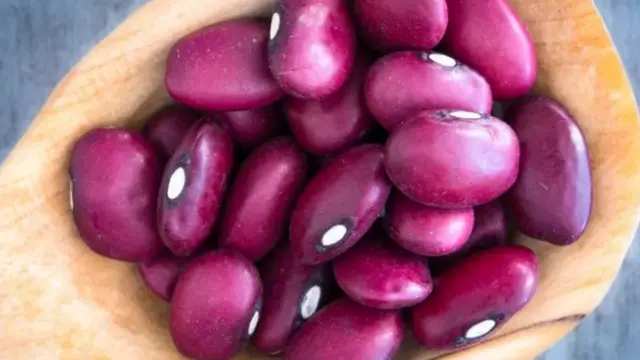 சிவப்பு சோயா பீன்ஸ்