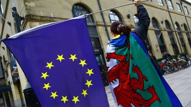 Сторонник членства Великобритании в ЕС с флагом