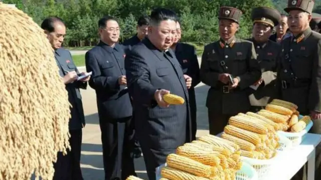 Kim