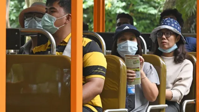 கொரொனா வைரஸ்