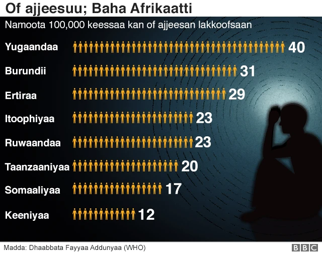 chaartii namoota of ajjeesuu