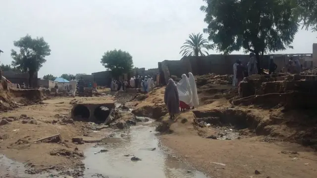 Idemmiri katsina