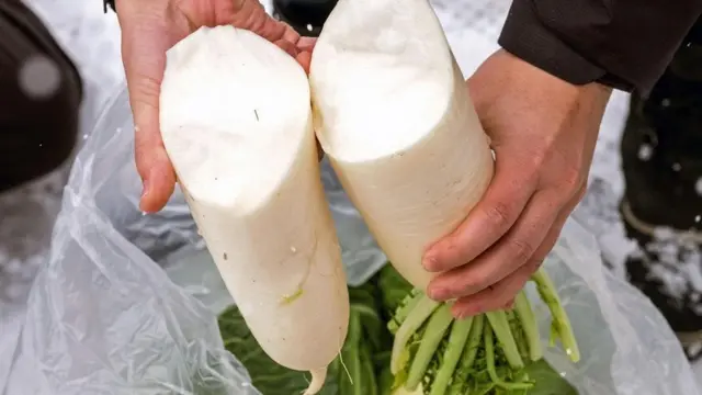 （图片来源：Lance Henderstein）