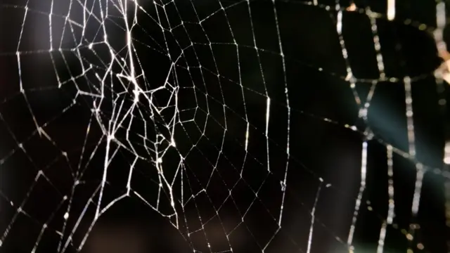 "Темная сторона"