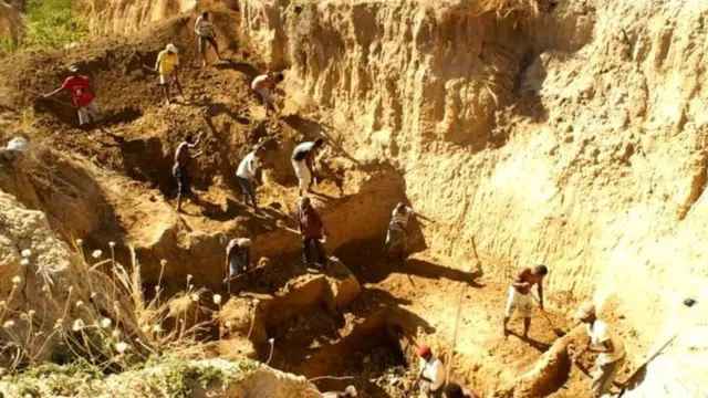 महाकाय पक्षी