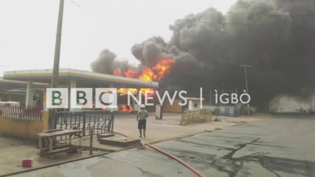 Ọdọmmanụ ụgbọala