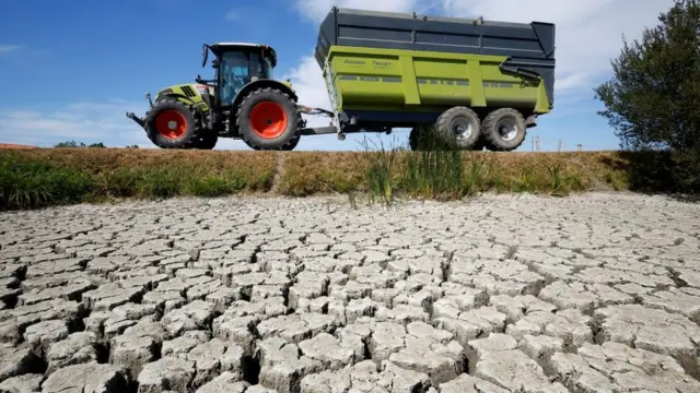 За весь июль во Франции выпало всего 9 мм дождя, в десять раз меньше обычного