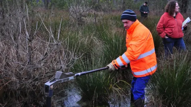 Сапер досліджує торфове болото з міношукачем на місці боїв так званого "Гальбського мішка"