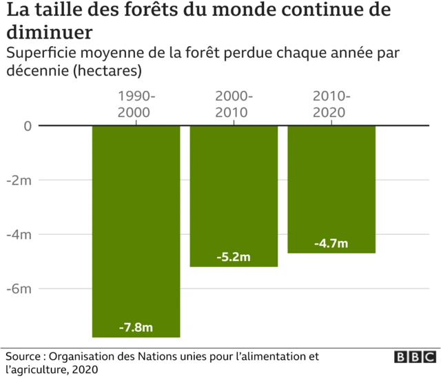Déforestation des forêts du monde