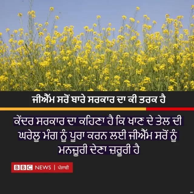 ਸਰਕਾਰ ਦਾ ਜੀਐੱਮ ਸਰੋਂ ਬਾਰੇ ਤਰਕ