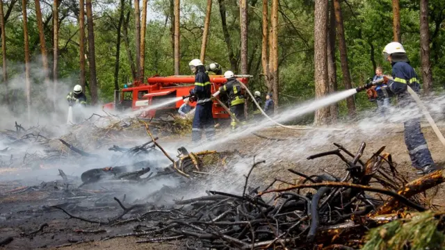 Гасіння лісової пожежі