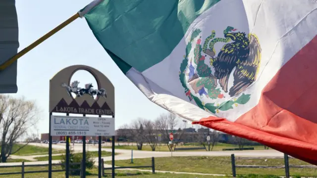 Bandera mexicana en EE.UU.