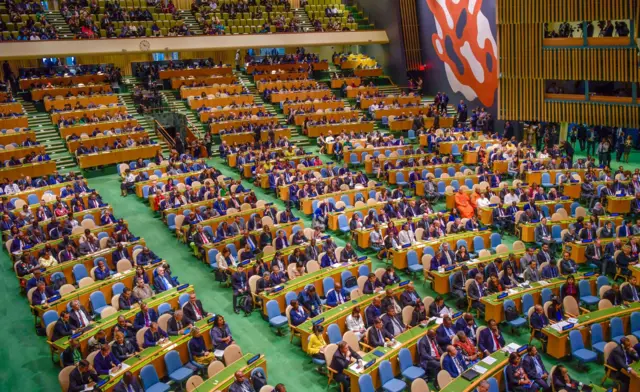 ஐக்கிய நாடுகள் அவை