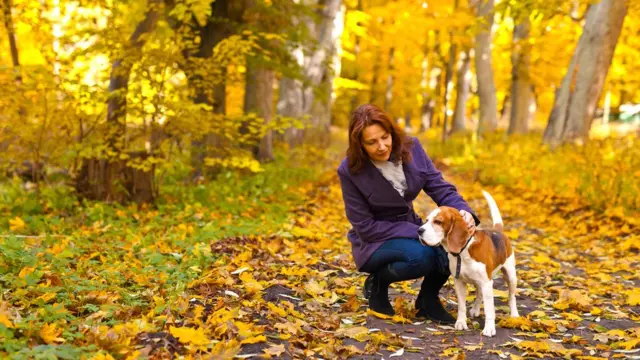 У каждого свое представление об отдыхе: кто-то предпочитает прогулку в парке, а кто-то - громкую рок-музыку