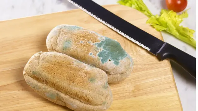 نان کپک زده