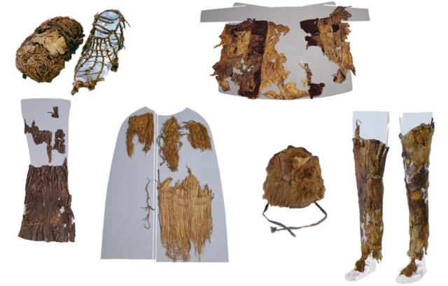 ओएट्ज़ी केस