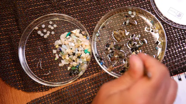 Muestras de microplásticos encontrados en el océano