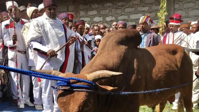 Korma araaraaf qalamu